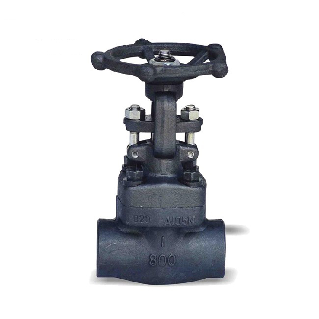 Socket welding/NPT threaded forged steel gate valve